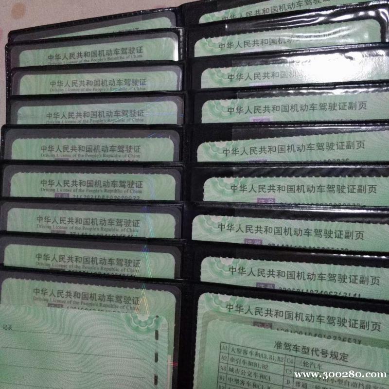 津东驾校招生