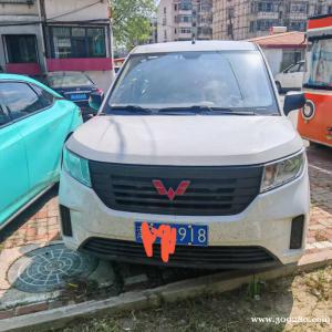 个人一手五菱宏光plus