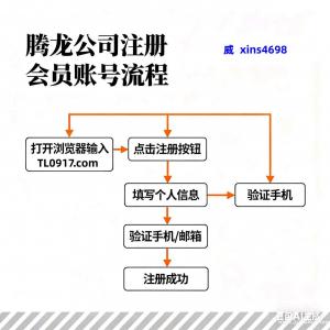 卫星【xins4698】新  盛  公  司  线 上  平