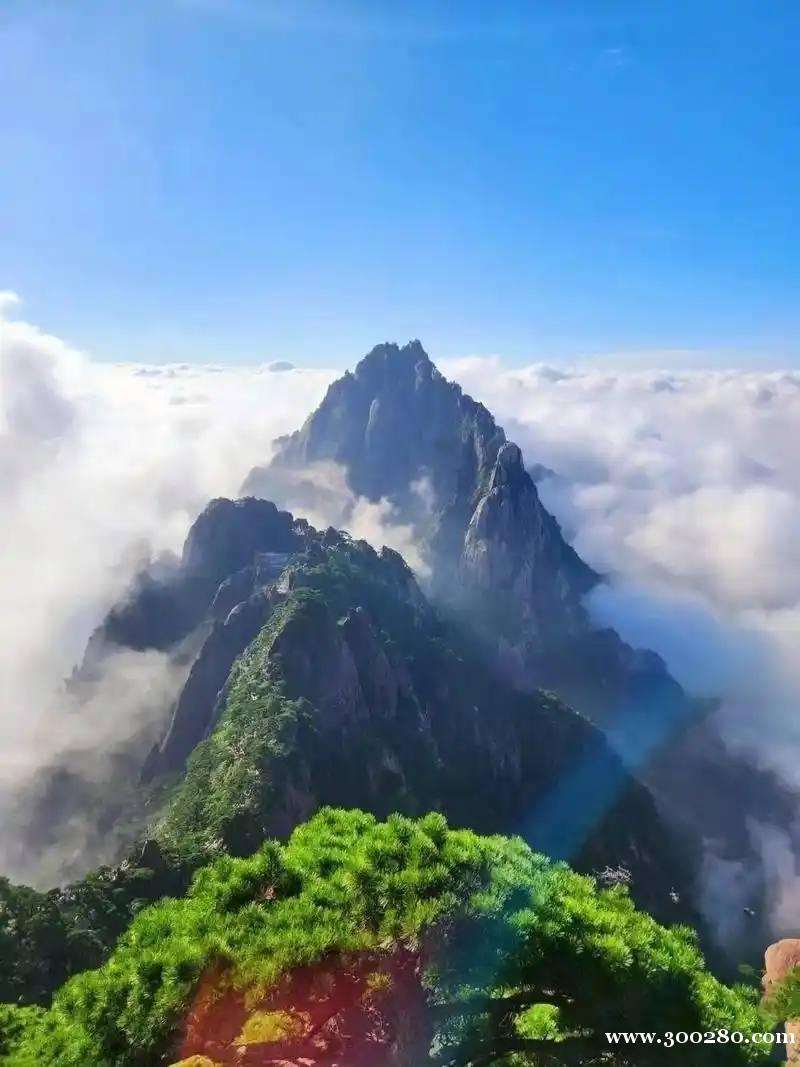 腾龙公司直属负责人v：tltltl10