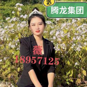 微30013361腾龙公司上下分充值窗口怎么找寻？