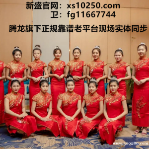 新盛公司会员注册办理直属账号网址xs10250.com