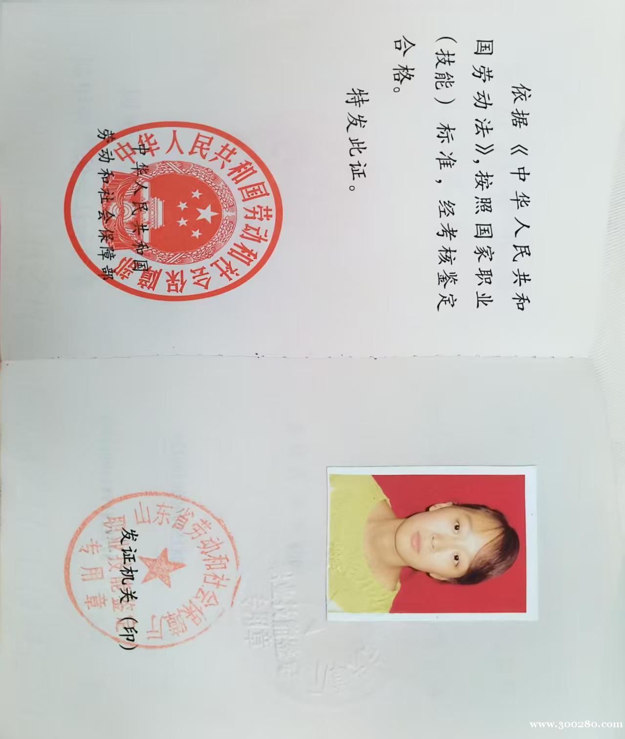 会计  出纳