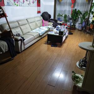 心港假日二期3D户型2楼中装110万可议