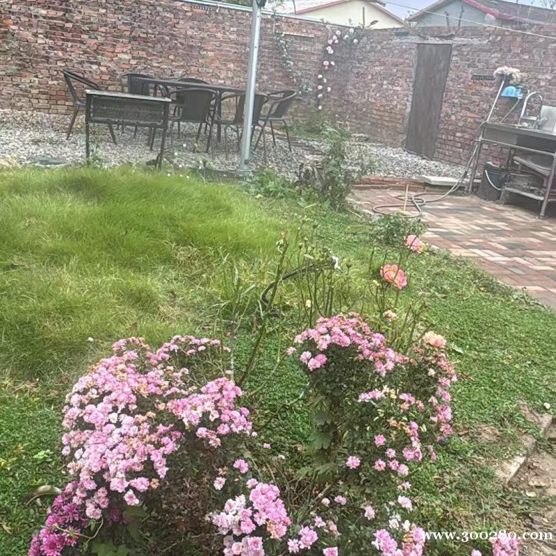 花园维护员